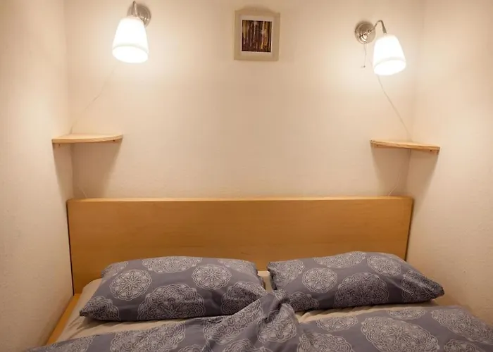 Gemuetliches 2p-apartment In Ruhiger Lage Dresden